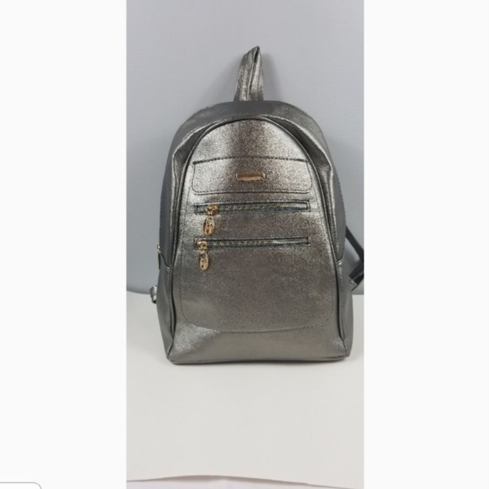 Metalic backpack used in good condition